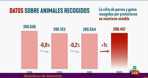 Animales recogidos en centros de rescate animal